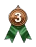 Rank 3 medal